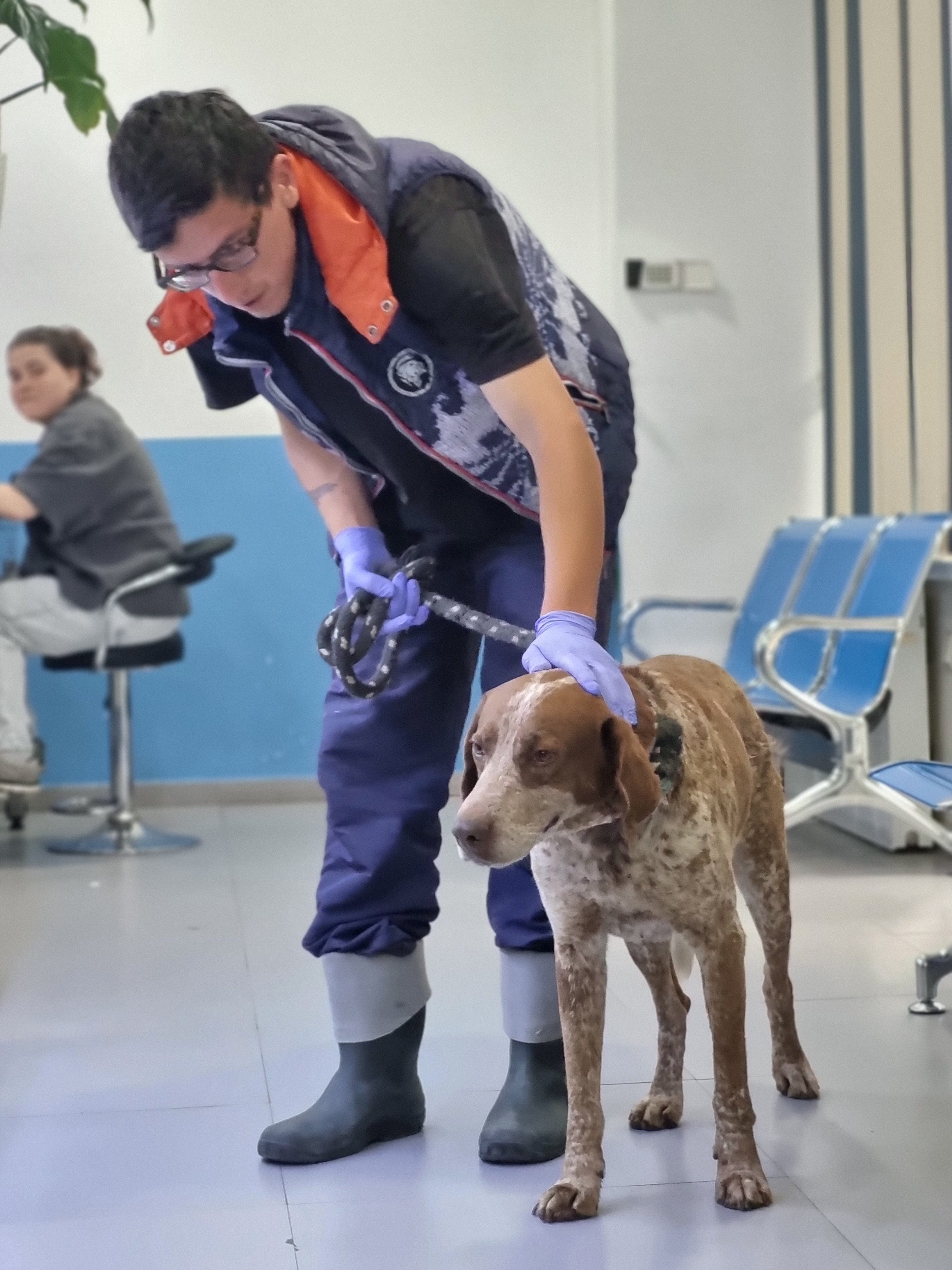 კურცჰაარი. რუსთავი