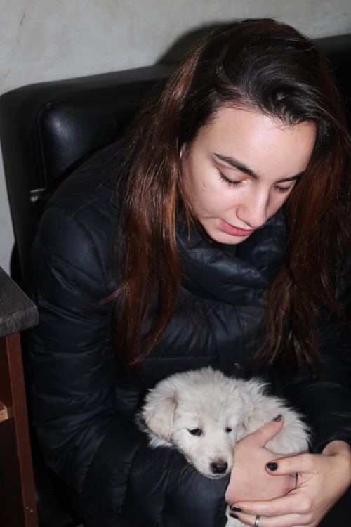 მეტისი უსახელო