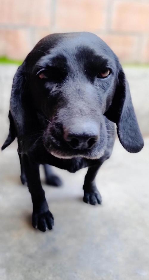 მეტისი ქ. რუსთავი ლეონიძეს სახელოსნო