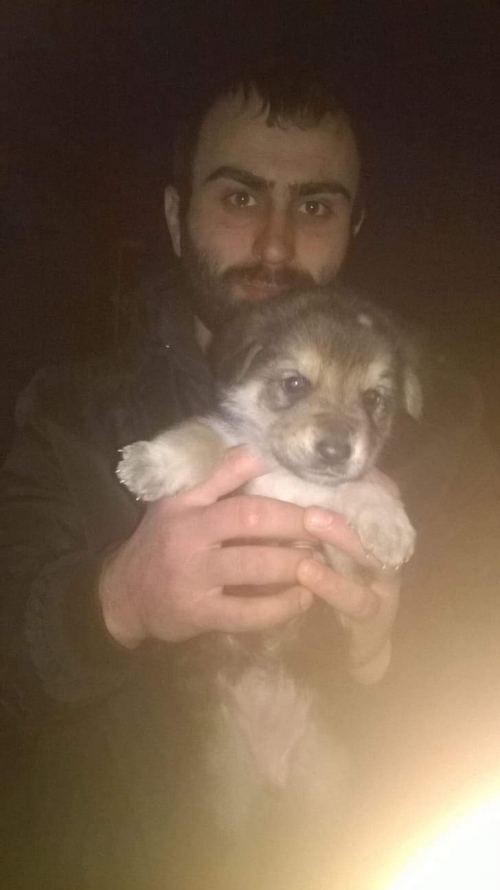 მეტისი უსახელო