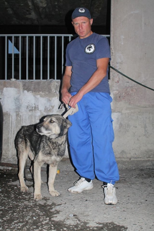 ქართული ნაგაზი უსახელო