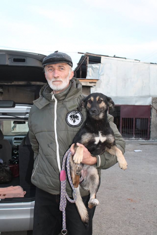 მეტისი უსახელო