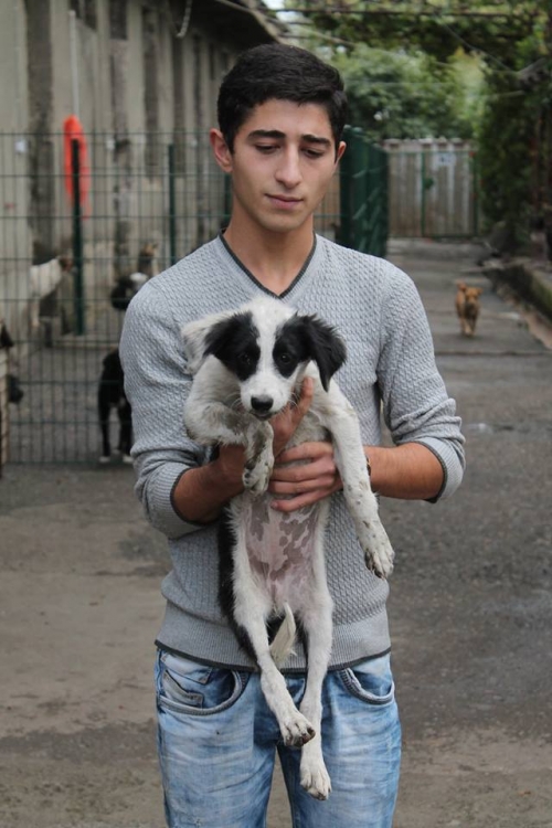 მეტისი უსახელო