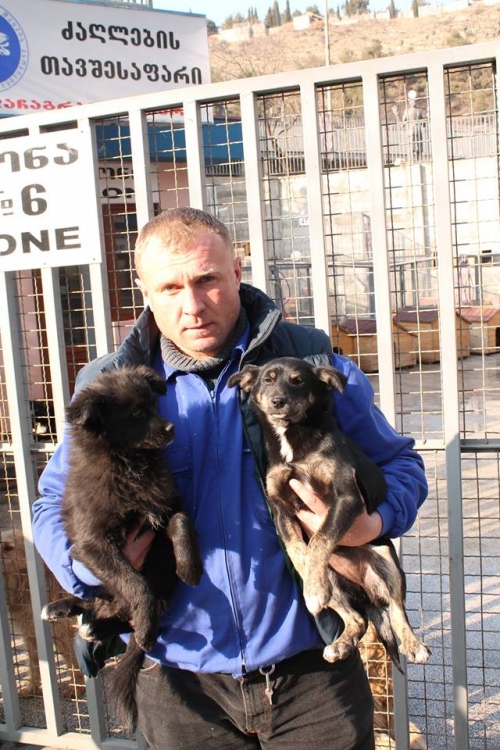 მეტისი უსახელო