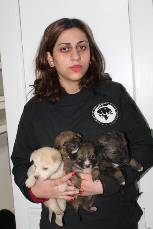 მეტისი უსახელო