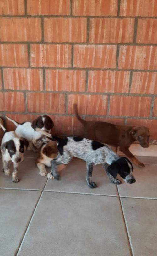 მეტისი კაიროს მე 3 ქუჩა