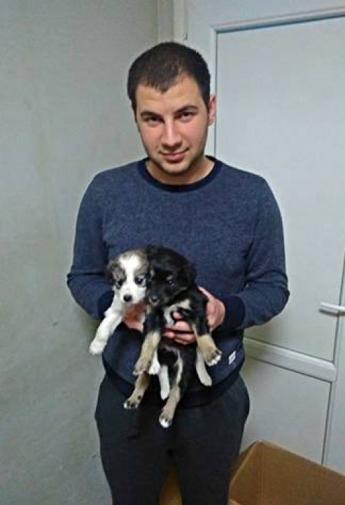 მეტისის ლეკვები უსახელო