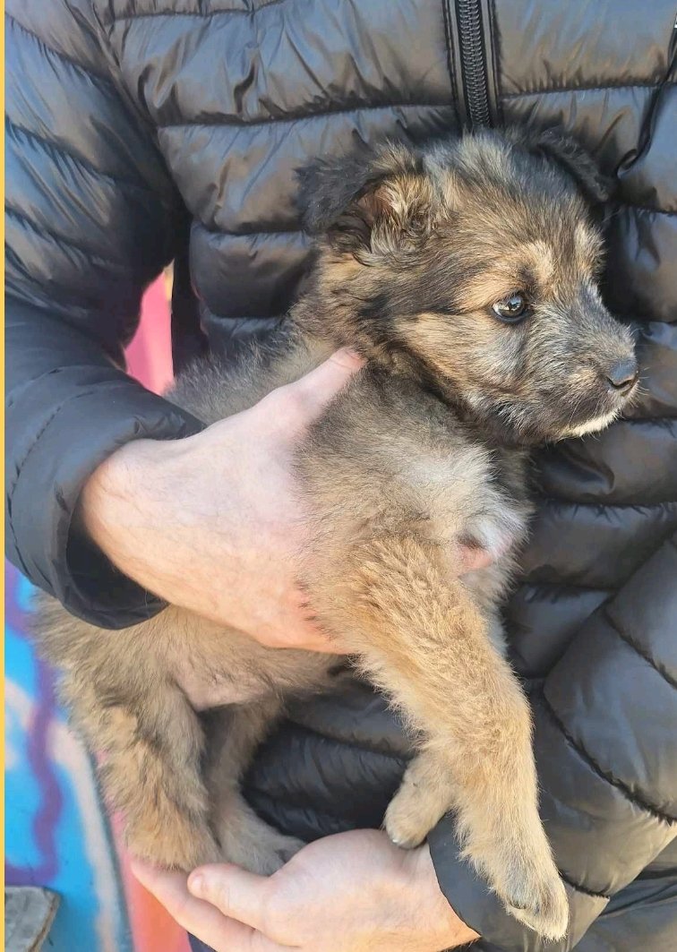 ბალონკა. მატროსოვის ციხე