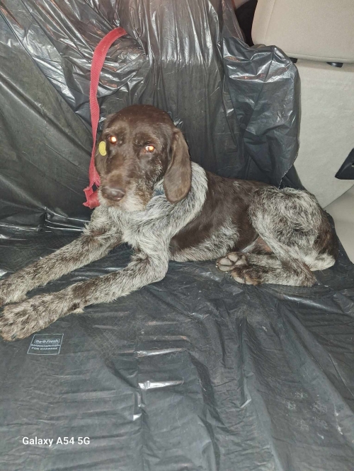 დრათხარი ვარკეთილი 10 კვარტალი 21 კორპუსი