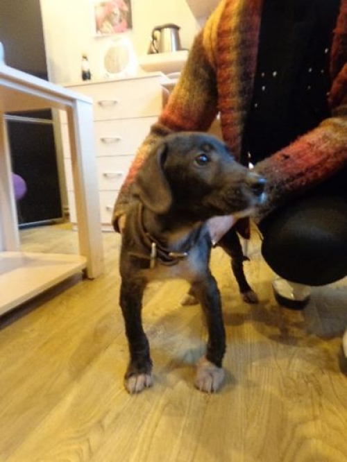 მეტისი უსახელო