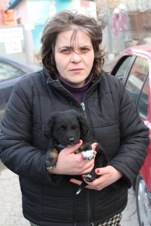 მეტისი უსახელო