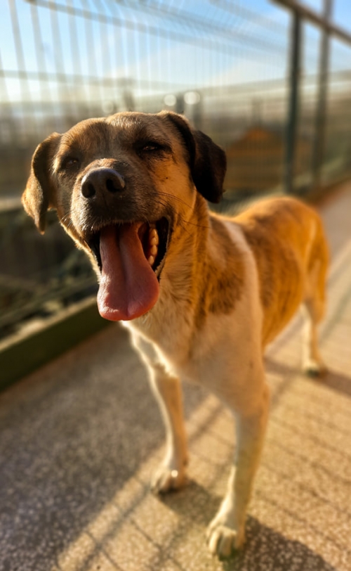 მეტისი მცხეთის რაიონი სოფელი ზაქარო.