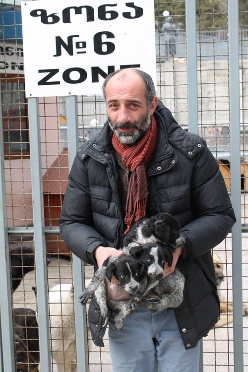 კურცხაალის მეტისი უსახელო