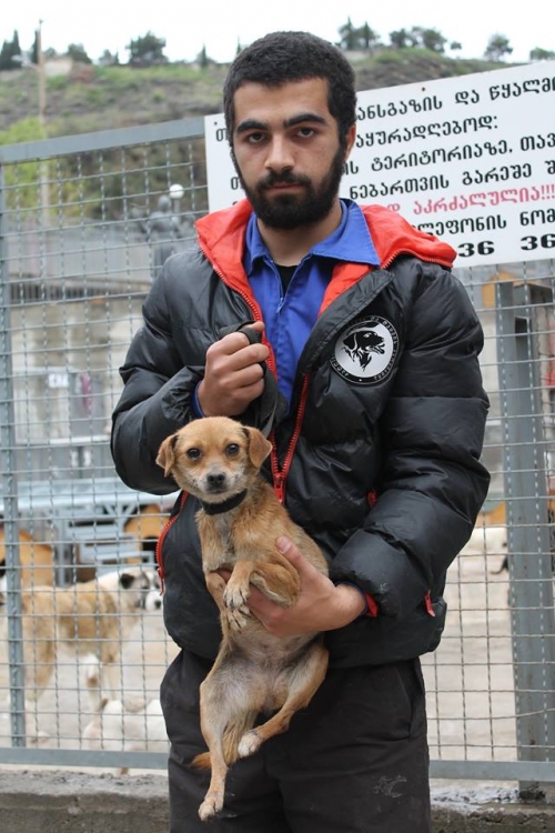 მეტისი უსახელო