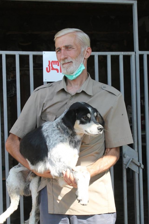 მეტისი უსახელო