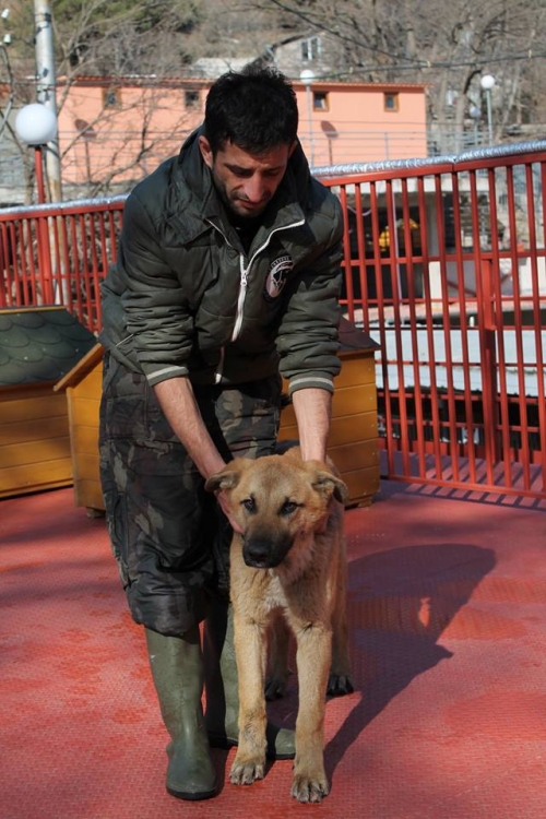 მეტისი უსახელო