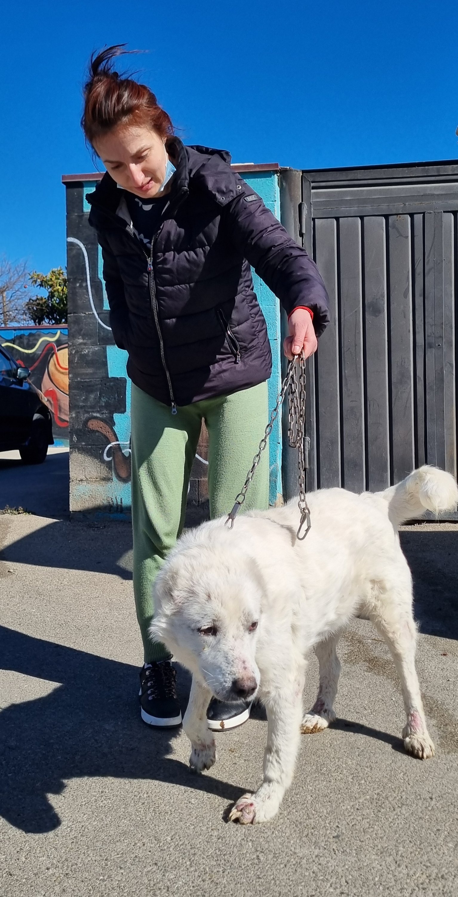 მეტისი. წილკანი