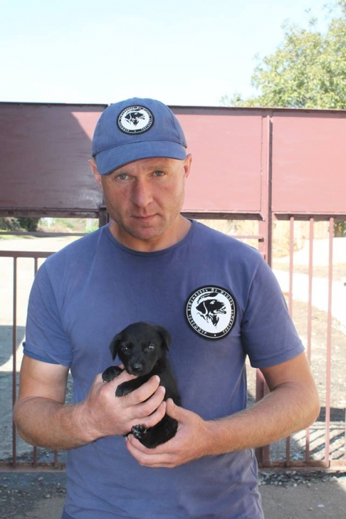 ლაბრადორის მეტისი უსახელო