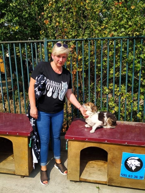 მეტისი ნაპოვნია სოფელ მანავთან გზაზე