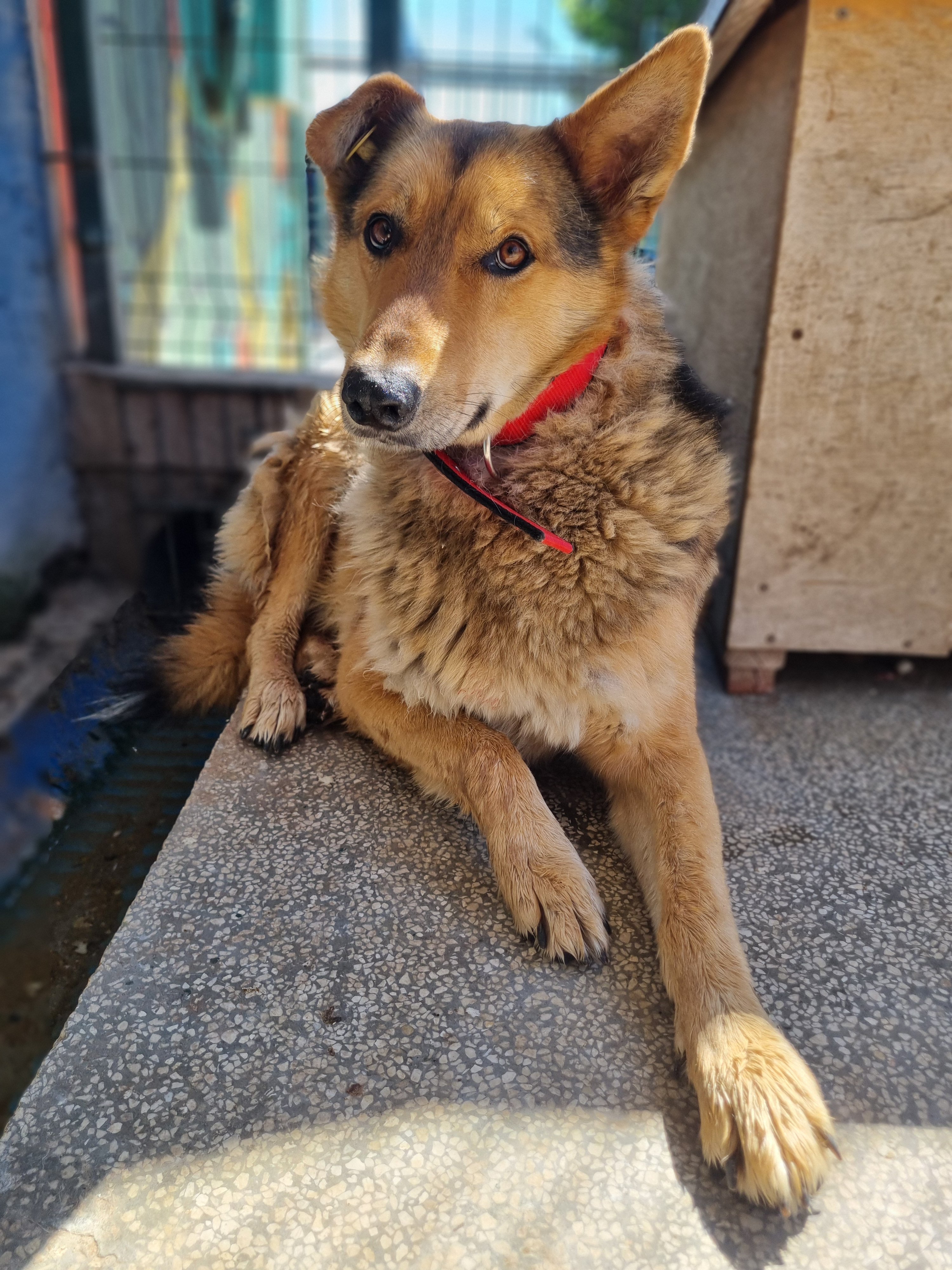 მეტისი. გლდანი 6მკრ.