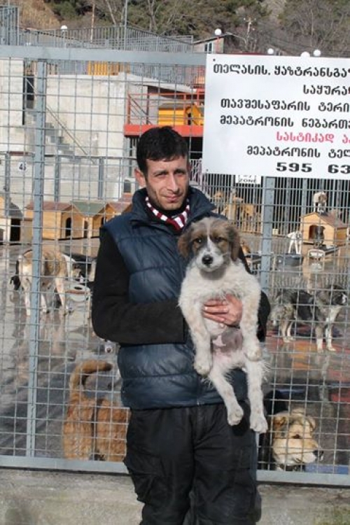 მეტისი უსახელო