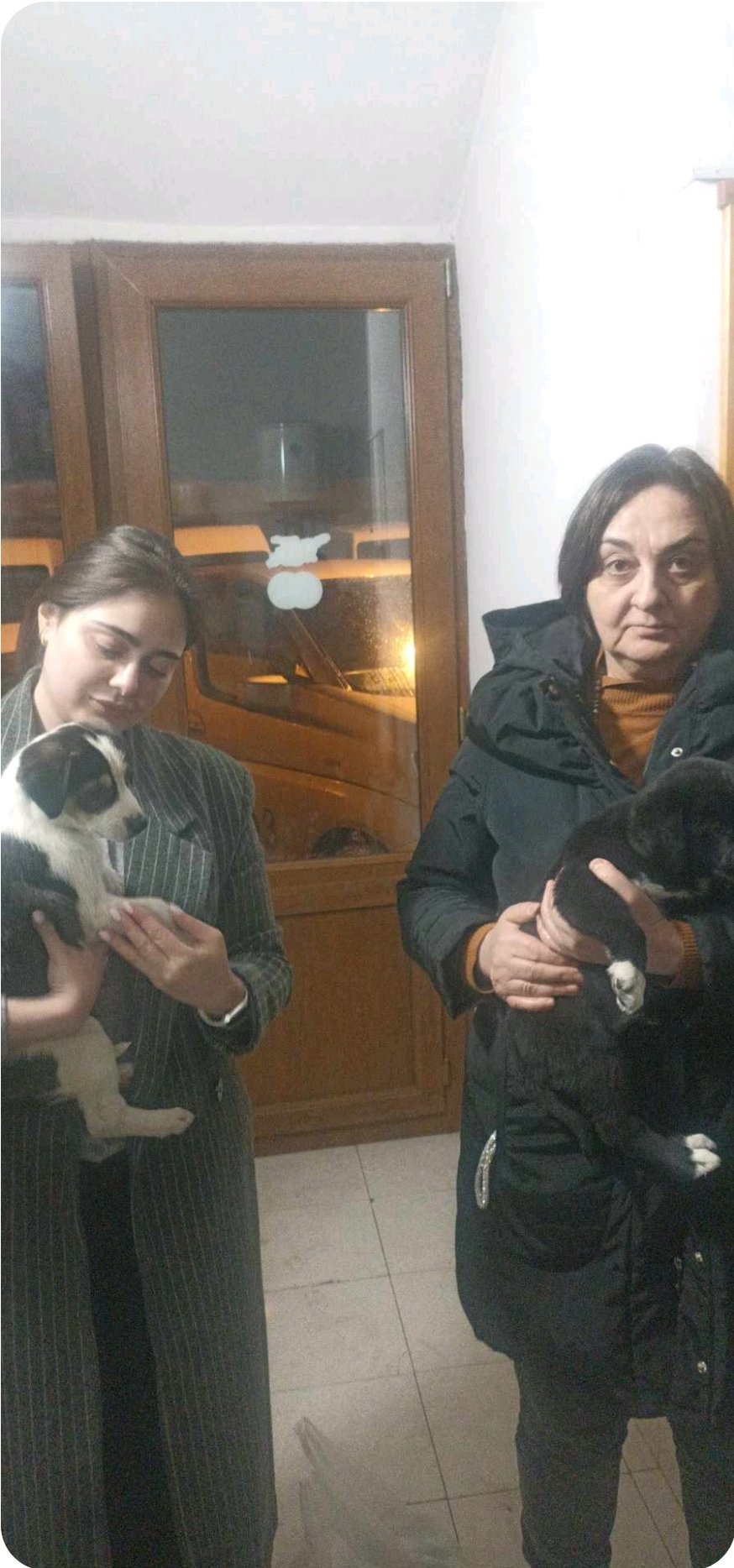 მეტისის ორი ლეკვი. ორთაჭალა