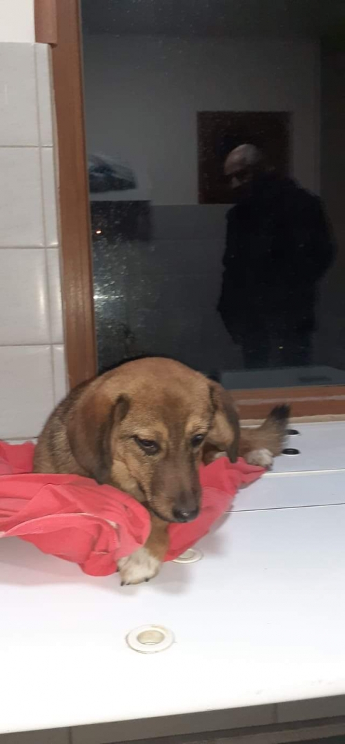 მეტისი უსახელო