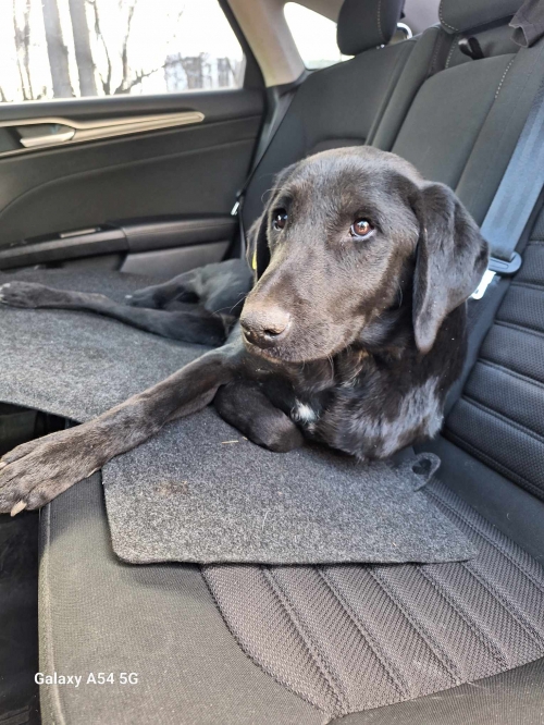 მეტისი დიდუბის მეტროს