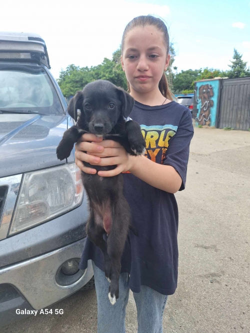 მეტისი ვარკეთილი მე 2 მკ. მე 10 კორპუსი