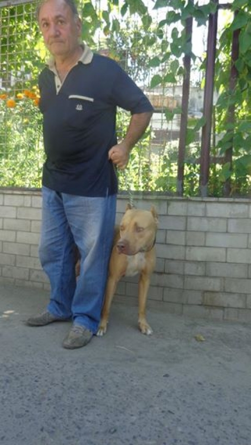 პიტი რიჩი