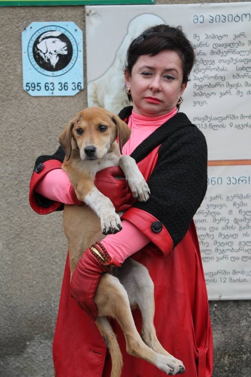 მეტისი უსახელო