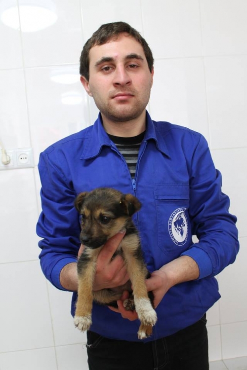 მეტისი უსახელო