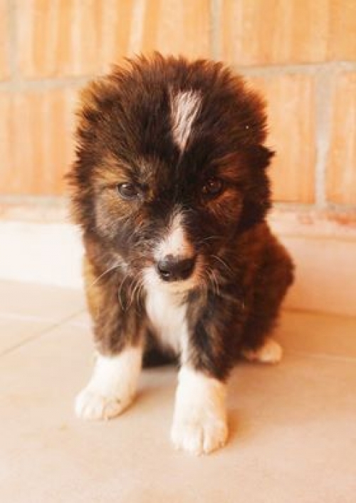 მეტისი უსახელო