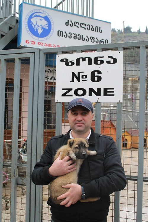 მეტისი უსახელო