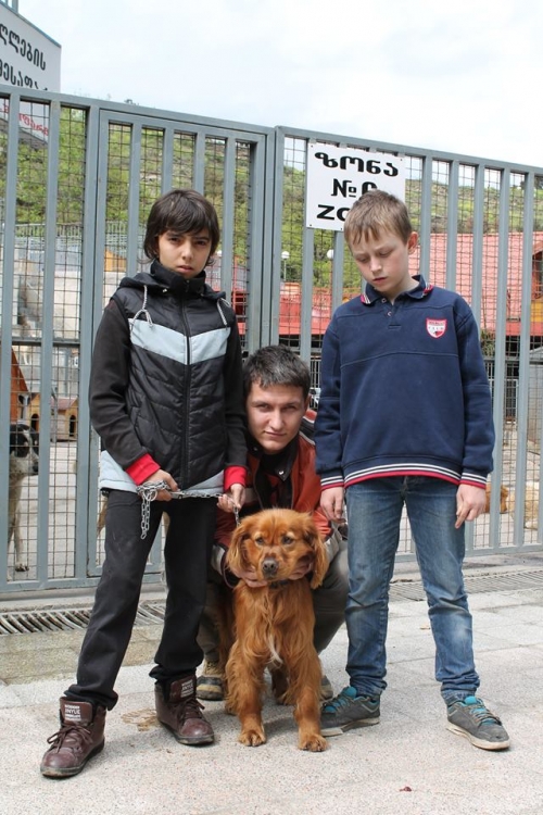 კოკერსპანიელი უსახელო