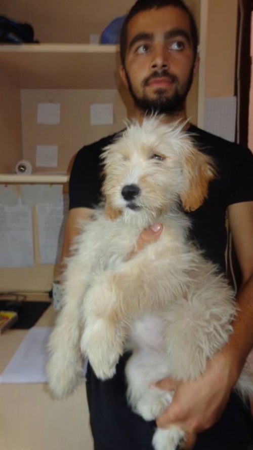 ბალონკა უსახელო