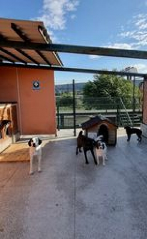 მეტისი ჩააბარეს დროებით