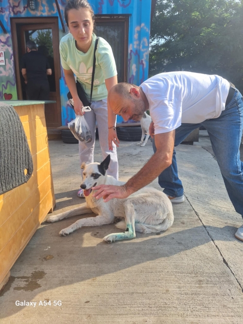 მეტისი სარაჯიშვილის მეტრო