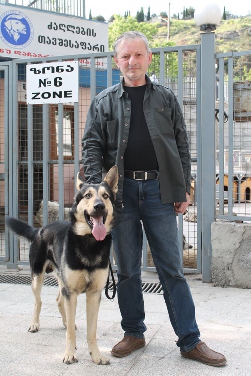 აღმოსავლეთ ევროპული ნაგაზი რექსი