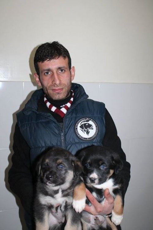 მეტისი უსახელო