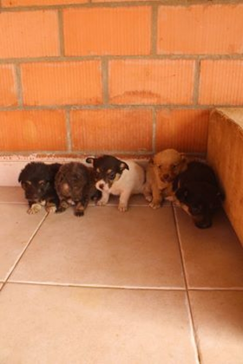 მეტისი უსახელო