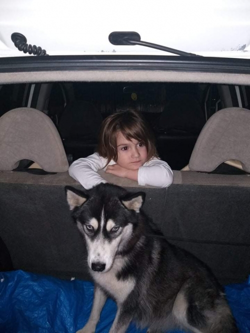 ლაიკა გლდანი