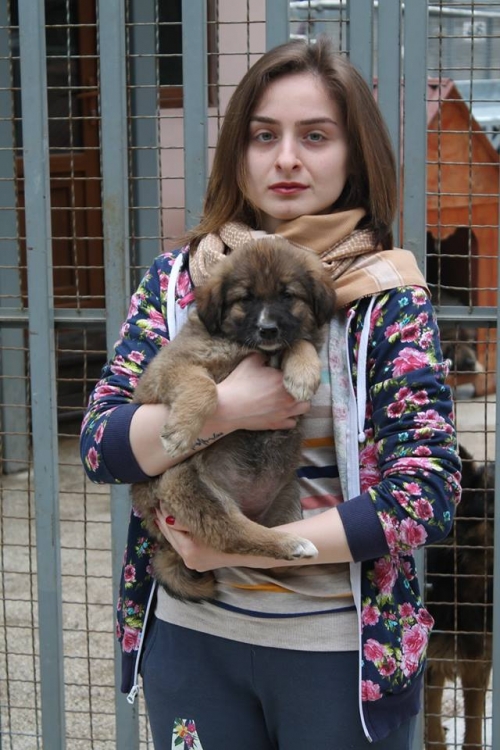 მეტისი უსახელო