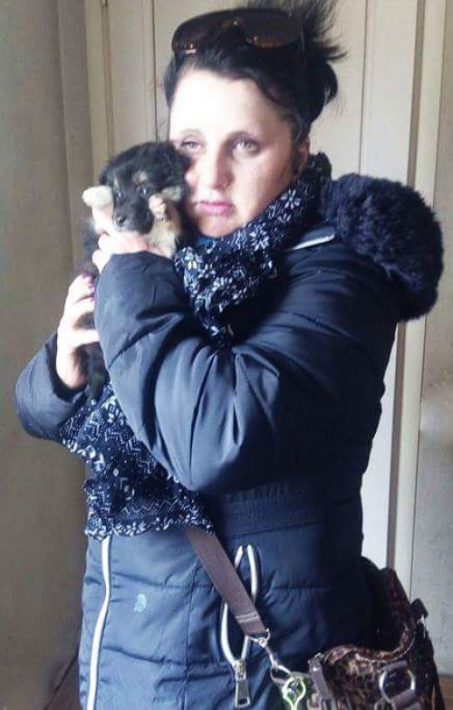 მეტისი უსახელო