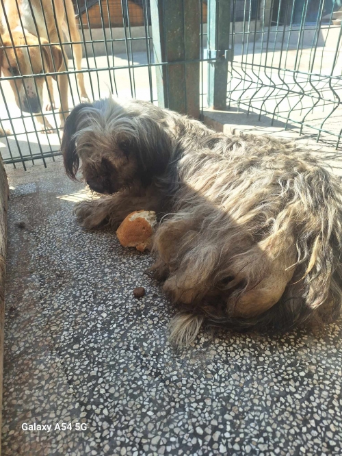 ბალონკა დიღმის მასივი ჭოხონელიძეს ქუჩა 9