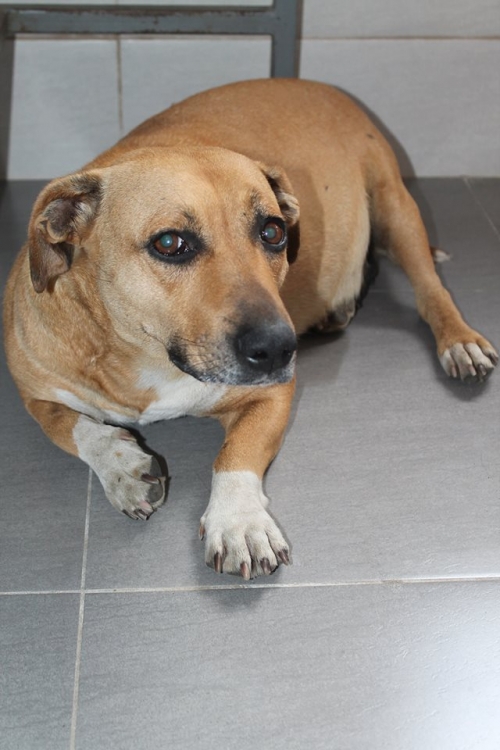 მეტისი უსახელო