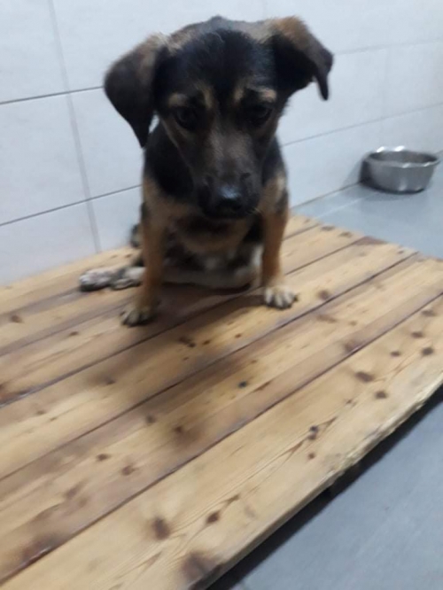 მეტისი ხობის რაიონი სოფ. ხეთა