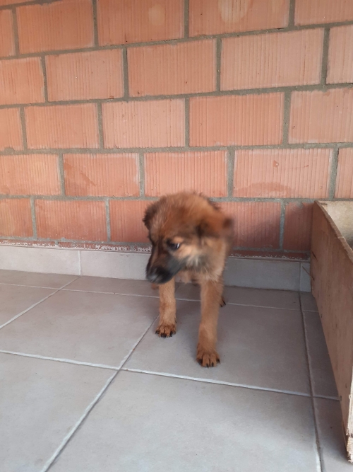 მეტისი უსახელო