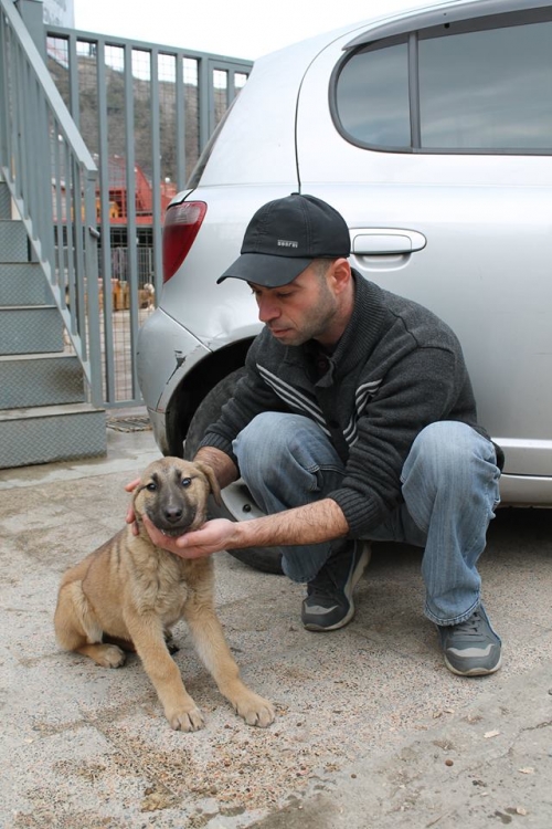 მეტისი ლინდა