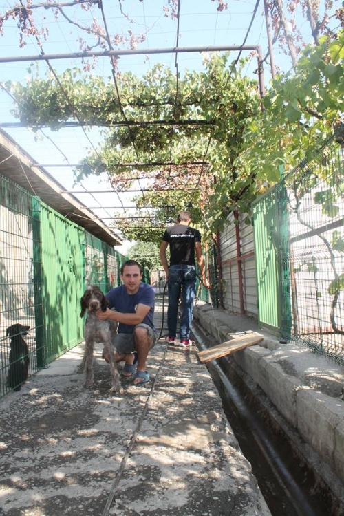 დრათხარი უსახელო